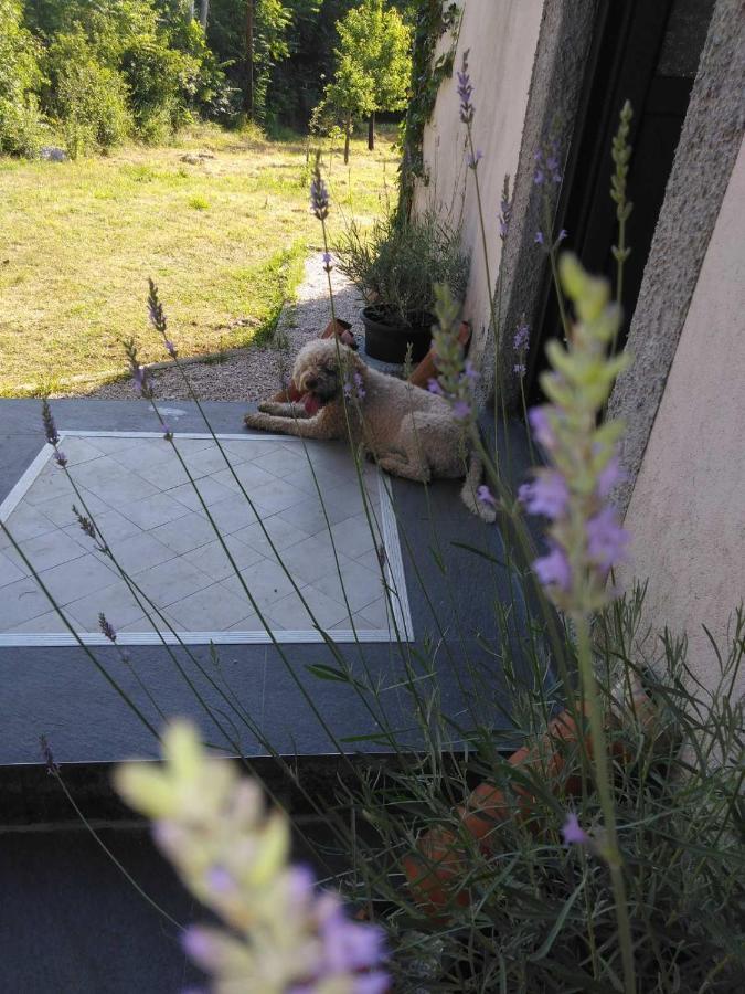 Lucha Apartman Rijeka Crnojevića Kültér fotó